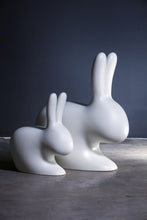 Load image into Gallery viewer, Scaun “Big Rabbit” (adult)
