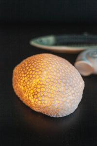 Lampă de veghe cu LED “Coral”